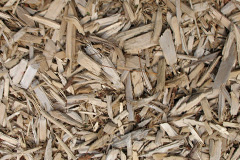 biomass boilers Wychnor